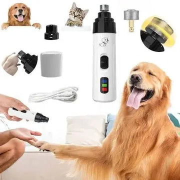 pet-grooming-guide-dogs