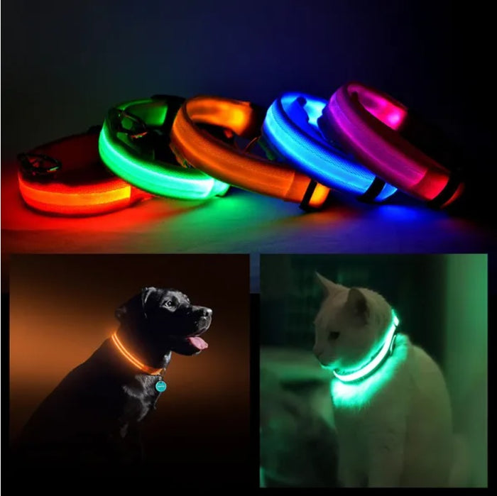 LED pet safety halo style collar for dogs and cats for nighttime visibility