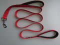pet double handle leash