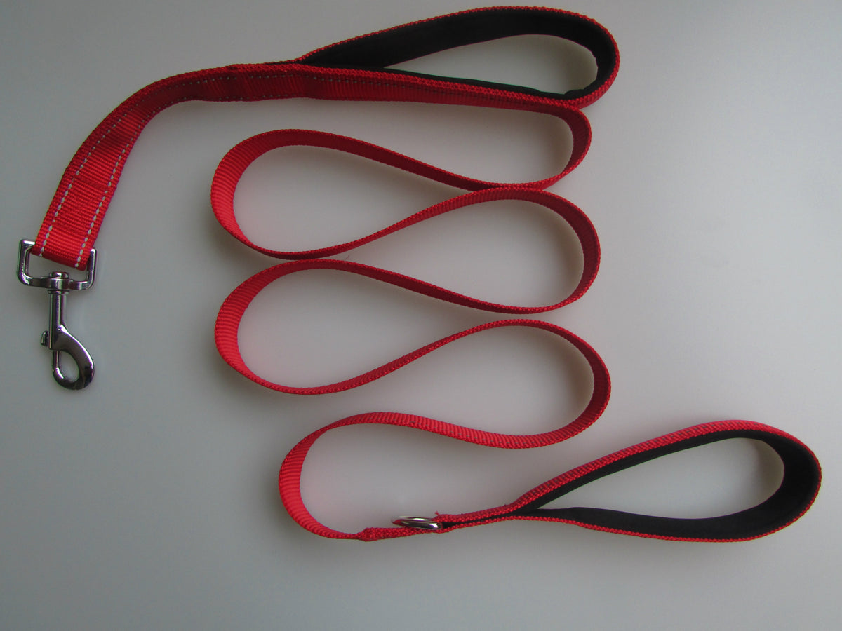 pet double handle leash