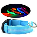 LED pet safety halo style collar for dogs and cats for nighttime visibility