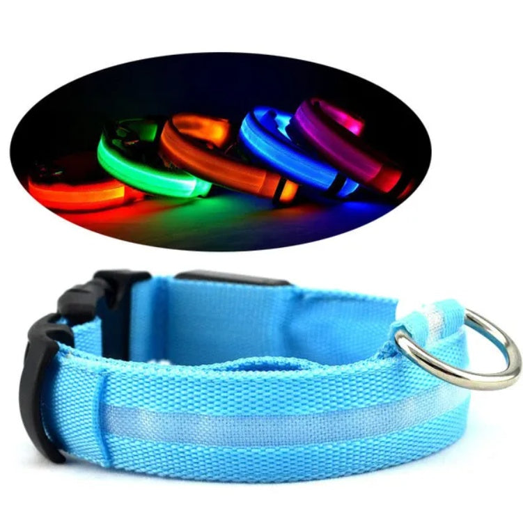 LED pet safety halo style collar for dogs and cats for nighttime visibility