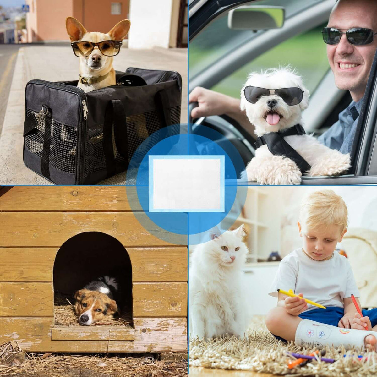 50Pcs dog training pads and puppy pee pads for potty training