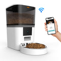 Video camera pet feeder with adjustable automatic food dispensing for dogs and cats