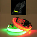LED pet safety halo style collar for dogs and cats for nighttime visibility