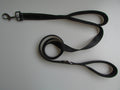 pet double handle leash