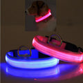 LED pet safety halo style collar for dogs and cats for nighttime visibility