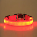 LED pet safety halo style collar for dogs and cats for nighttime visibility