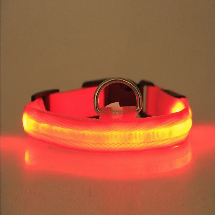 LED pet safety halo style collar for dogs and cats for nighttime visibility