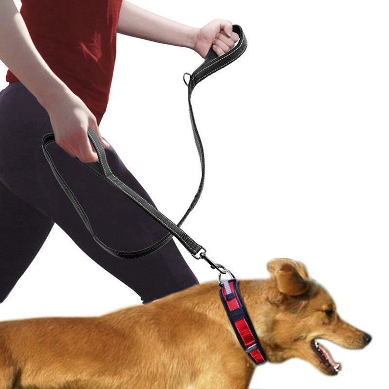 pet double handle leash
