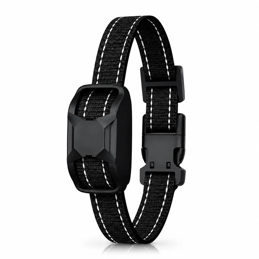 E-Collar Receiver For Dog Training Pets Loom