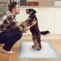 50-piece dog training pads, puppy pee pads and cat wee mats for indoor potty training, 24 x 18 inches